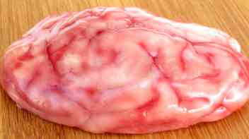 Как варить свиные мозги
