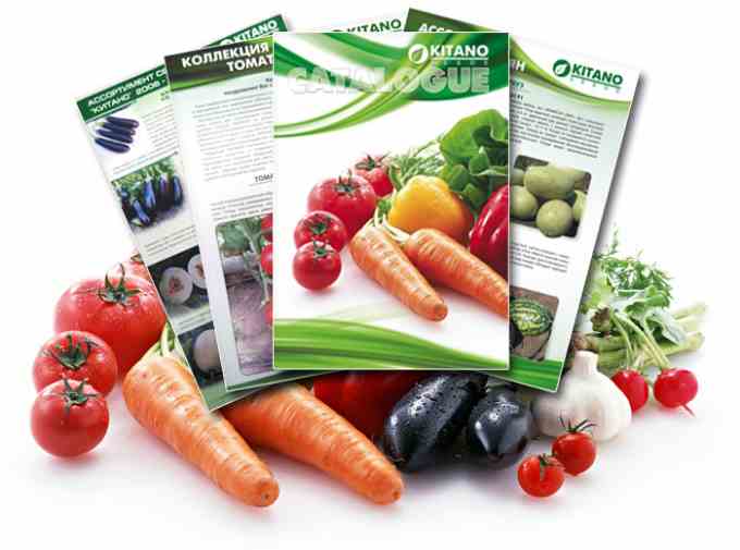Алфавитный каталог овощей